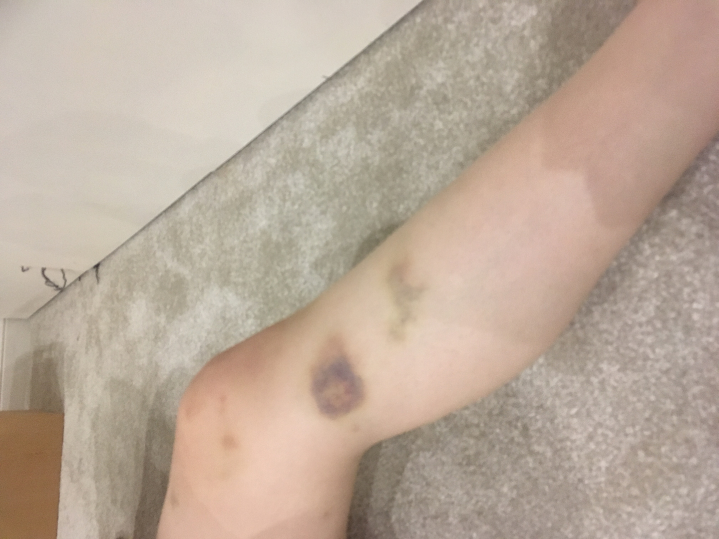 Photo by Julie H of Britannia Bradshaw Removals & Storage - Large