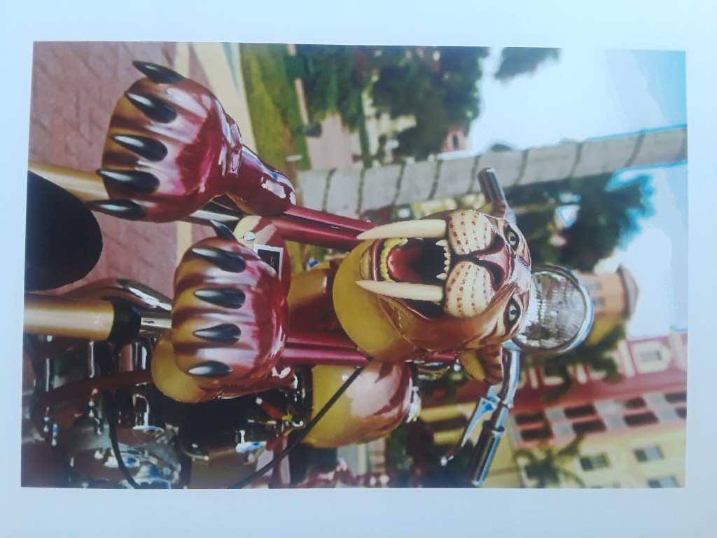 Second photo by Geegee Beatty of Perez Moving and Storage - Large