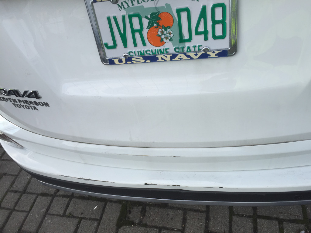 Photo by Neringa Kranauskiene of RSS LLC - Large