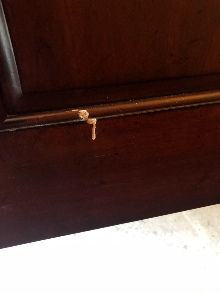 Photo by Hd Quattlebaum of Razorback Moving LLC - Large