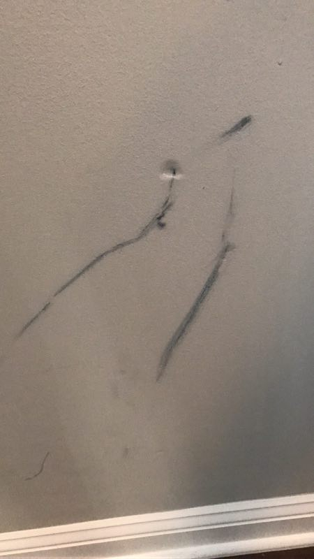 Photo by Fang Herrera of Premier Movers - Large