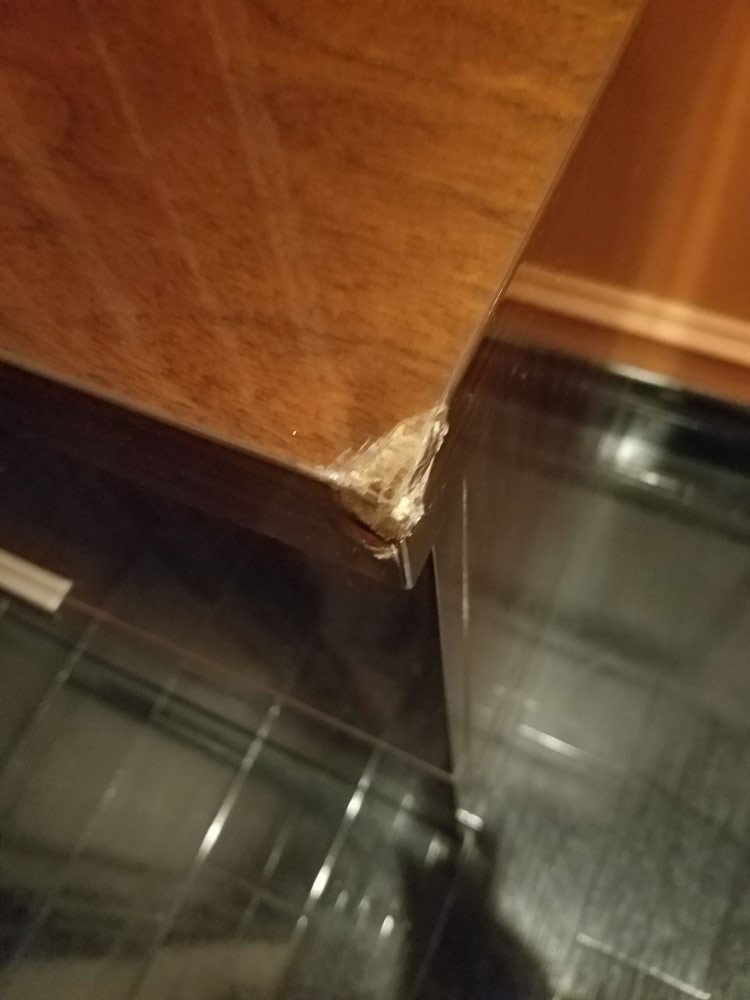 Photo by Aras of NorthStar Moving Company - Large