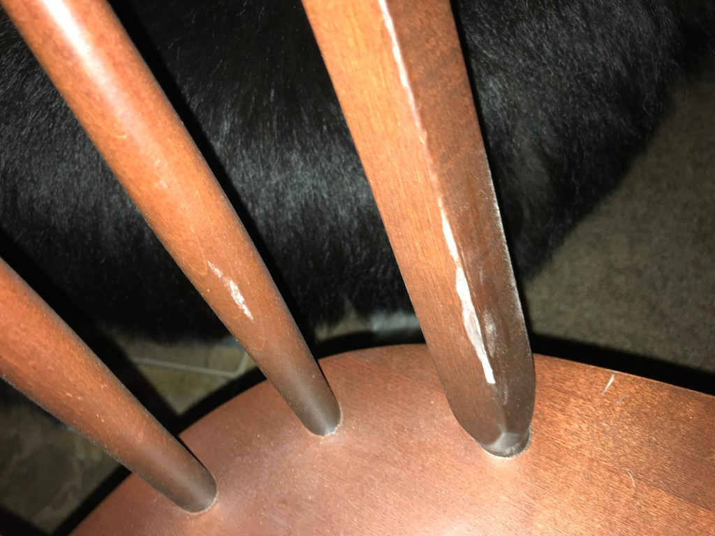 Second photo by Patricia Fredrickson of Oasis Moving and Storage - Large