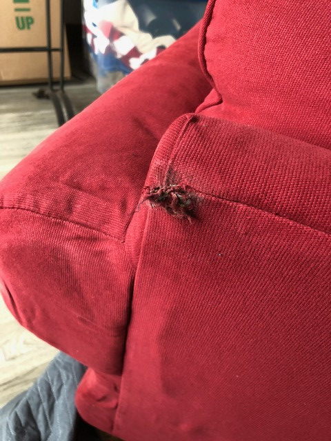 Second photo by John Finnegan of Moving Pro - Large