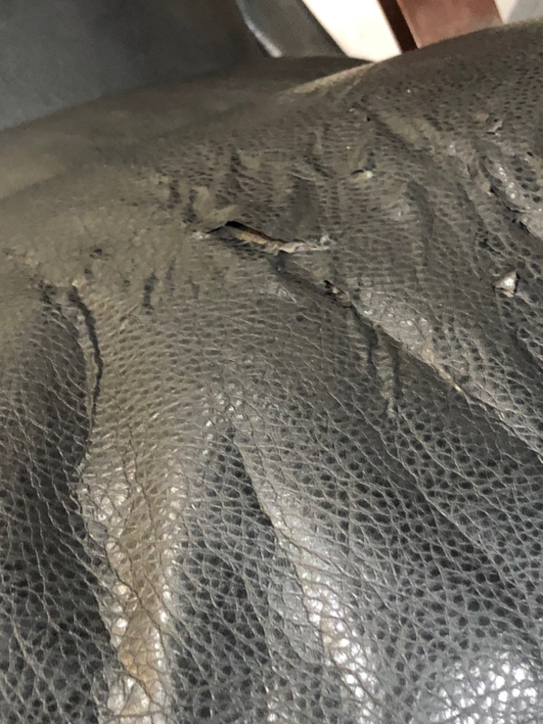 Second photo by Rae Hussell of 2 Burley Men Moving - Large