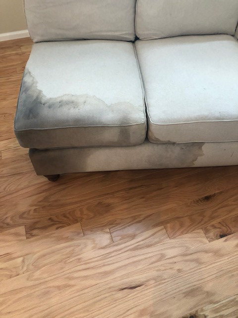 Photo by Paola Black of US Household Moving & Storage - Large