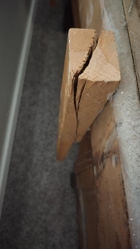 Photo by Jonathan Gatto of Safeway Moving Systems - Large