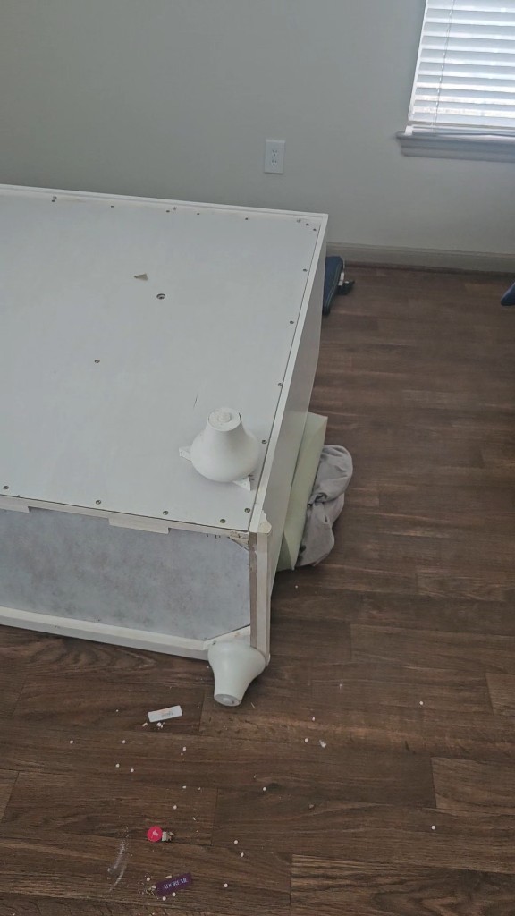 Photo by Glowran Phillips of The Right Movers - Large