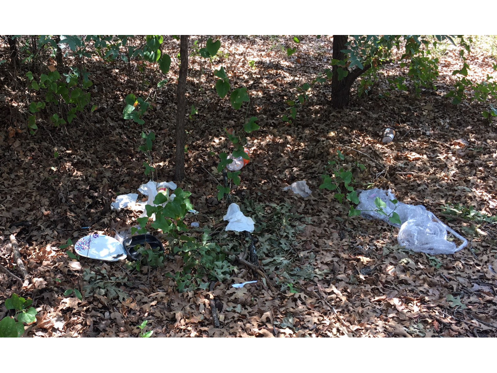 Photo by Cheryl S of Geo Van Lines - Large