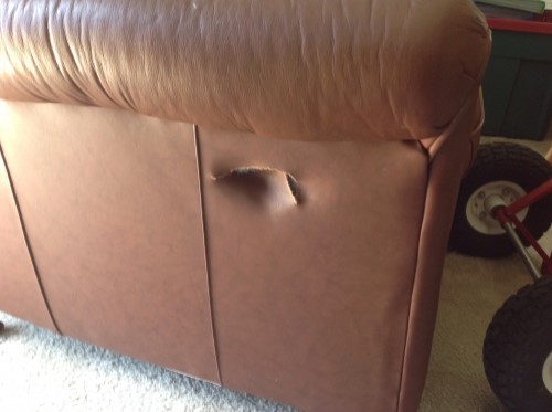 Photo by Sherry Tychsen of Accurate Movers - Large