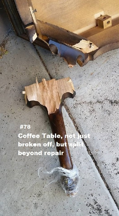 Second photo by Edie Walker of Revolution Moving Systems - Large