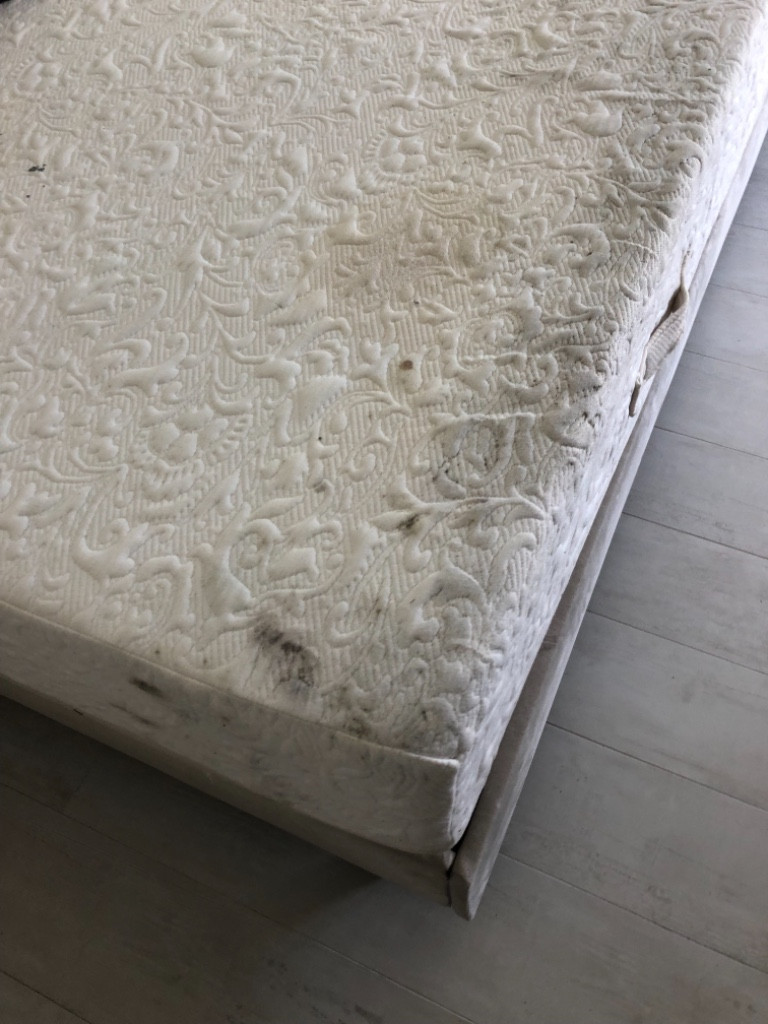 Photo by Marie Perez of Luxury Van Lines - Large