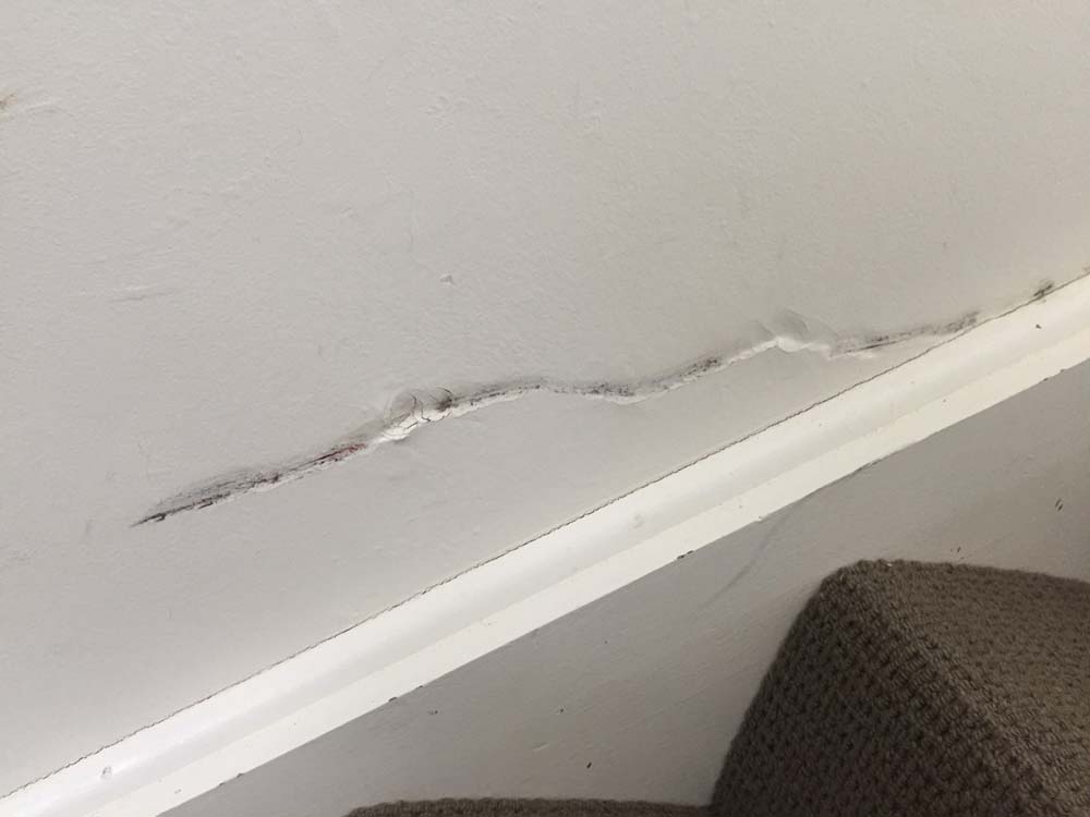 Photo by Scott Martin of Grace Removals Group - Large