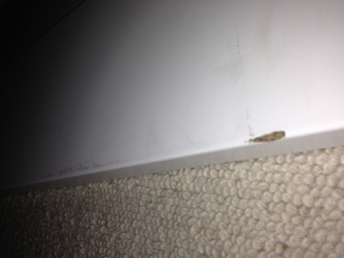 Second photo by Elizabeth of Allmove by Reto Muhr - Large