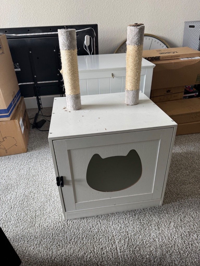 Second photo by Brittany Fleming of First Class Moving and Storage - Large