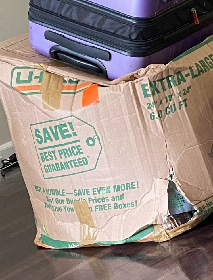 Photo by Jaelynn Grace Ortiz of Mayzlin Relocation LLC  - Large