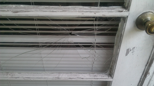 Photo by Meg Buchanan of Ocean Moving & Storage - Large