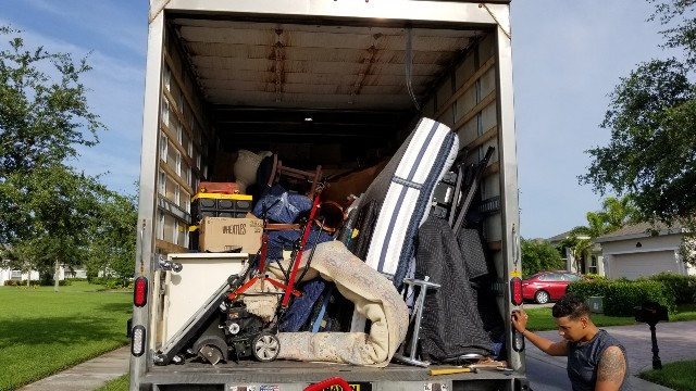 Photo by Tom Valentine of Zippy Shell Incorporated - Large