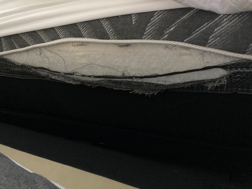 Second photo by Kathy Helton of All American Moving and Storage Inc - Large