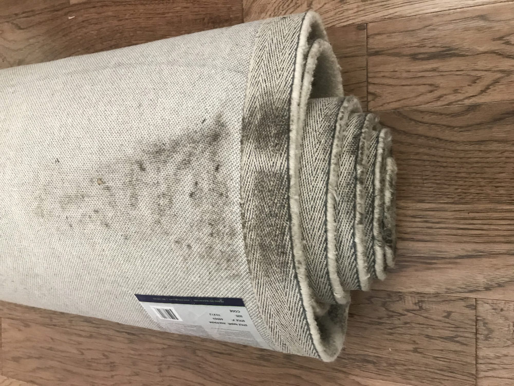 Second photo by Melinda Green of Old Country Van Lines - Large