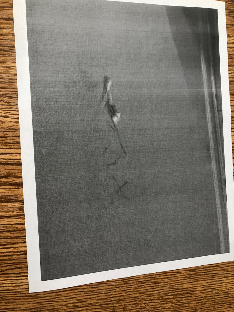 Photo by Linda Doyle of AAA Movers - Large