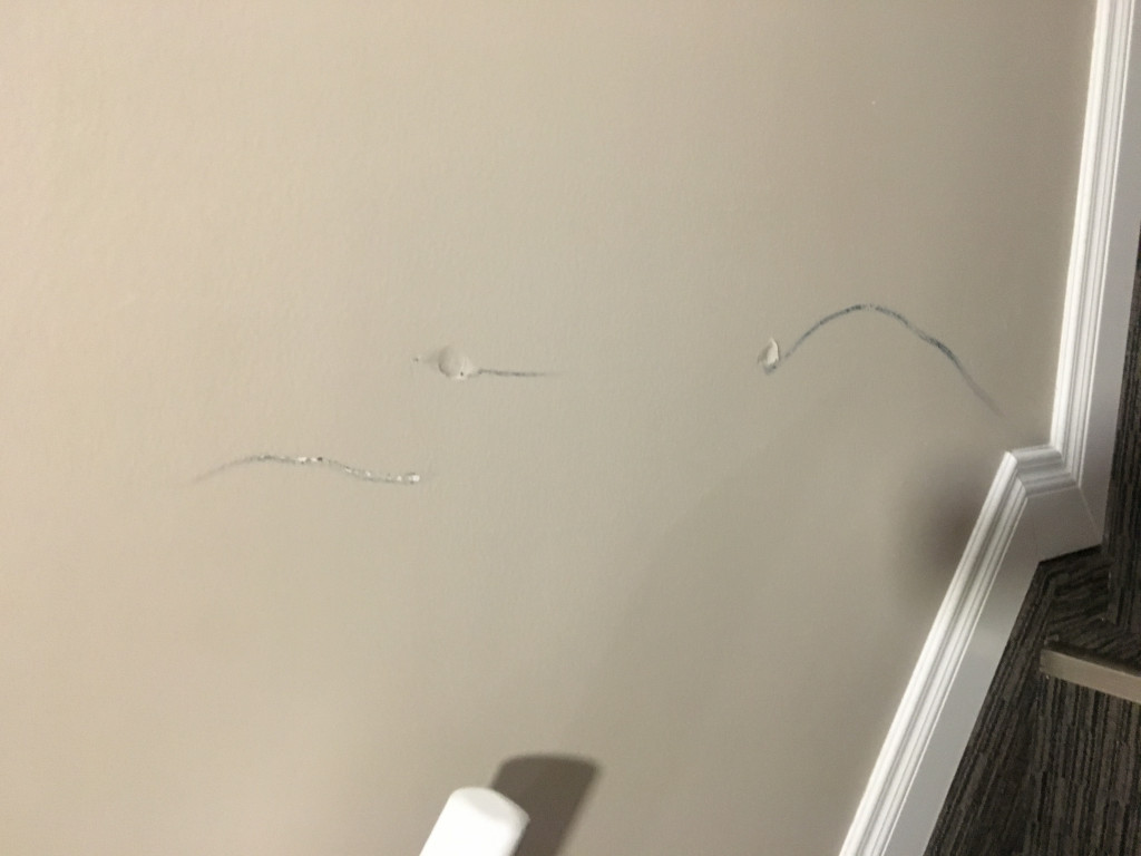 Second photo by Sondra Amon of 2 Burley Men Moving - Large