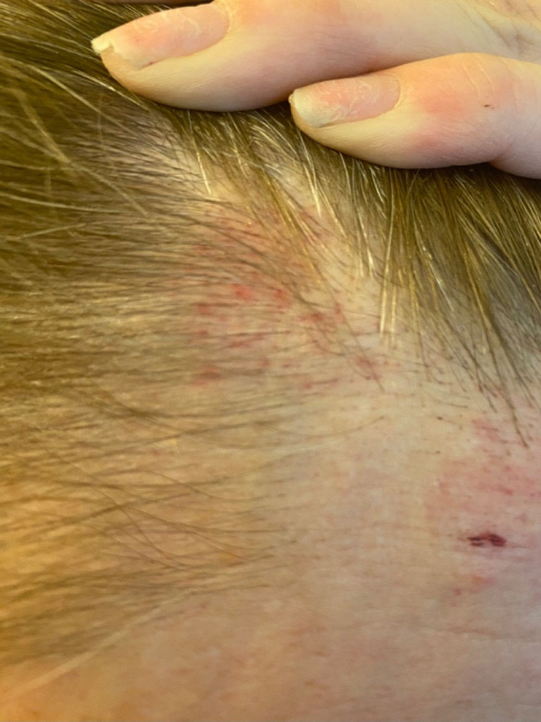 Second photo by Tamara Mccord of Soft Touch Moving Company - Large