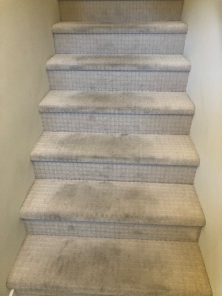 Photo by Andy Sidhu of Diamond Relocation  - Large