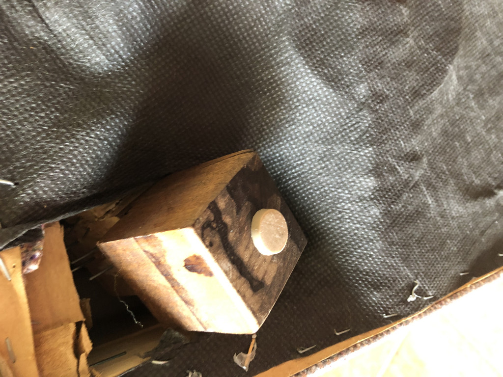 Second photo by Ann Belyea of International Van Lines - Large