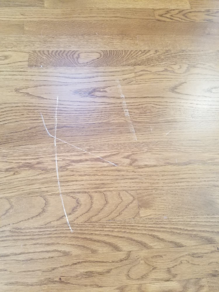 Second photo by Kimberly Buddy of EZ Movers - Large