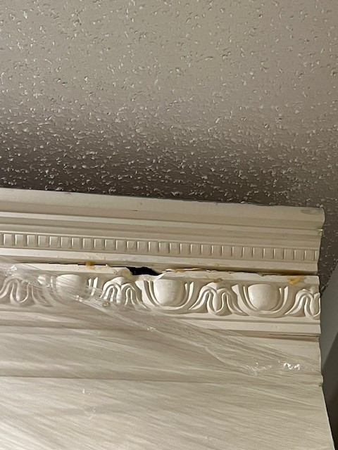 Photo by Julie Miller of All My Sons Moving and Storage - Large