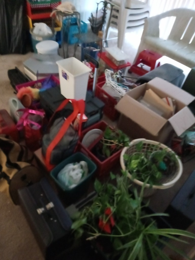 Photo by Yvonne Harris of Busy Beavers - Large