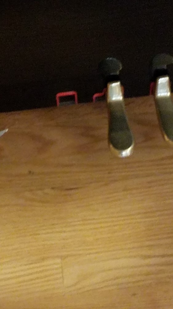 Photo by Holly of American Roadway Vanlines Inc. - Large