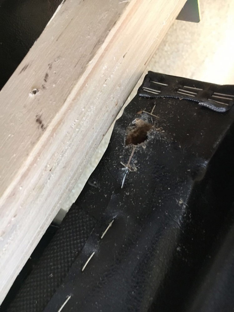 Second photo by Faye Wheeler of State to State Movers - Large