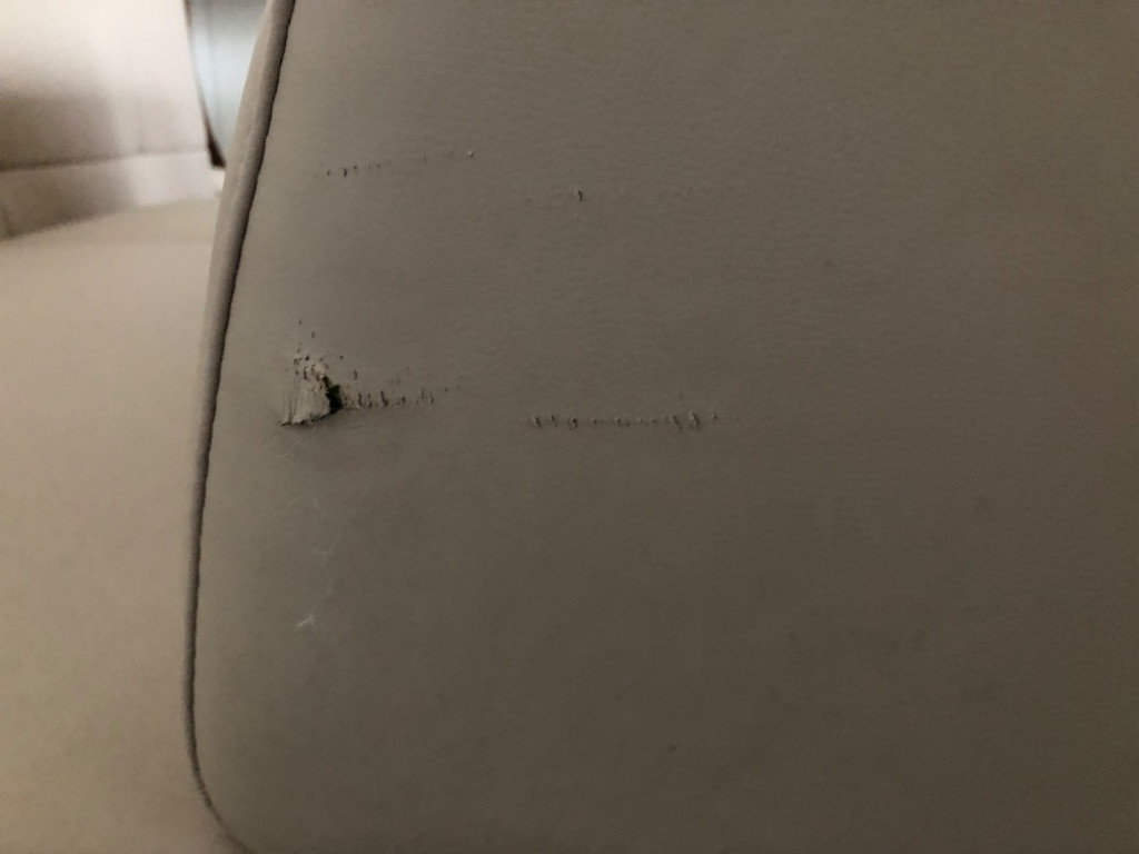 Second photo by Bob Mcnulty of House of Movers - Large