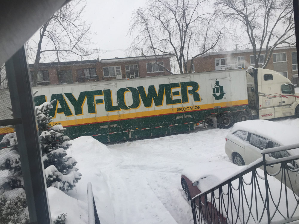 Photo by Tatiana of Centennial Moving - Large