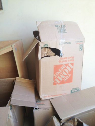 Photo by Erin Hawkins of Mayflower Transit - Large