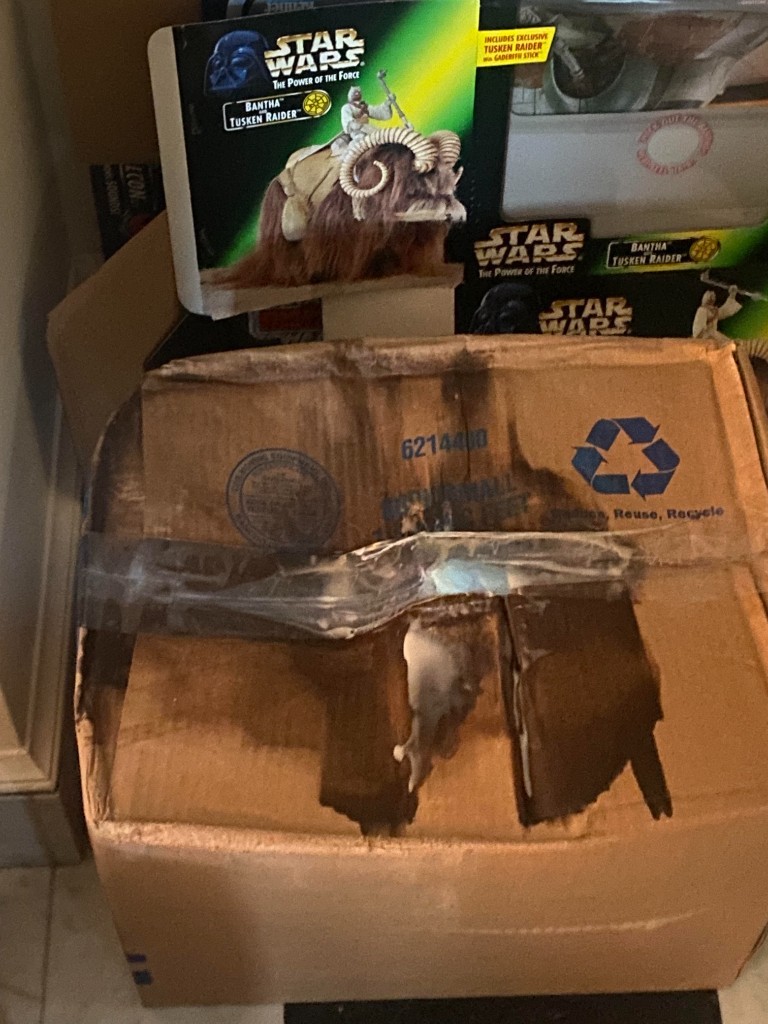 Photo by Peter Santa Maria of Bravo Moving - Large