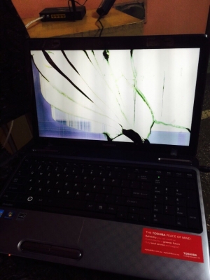 Photo by Tanu Arora of DTDC Australia - Large