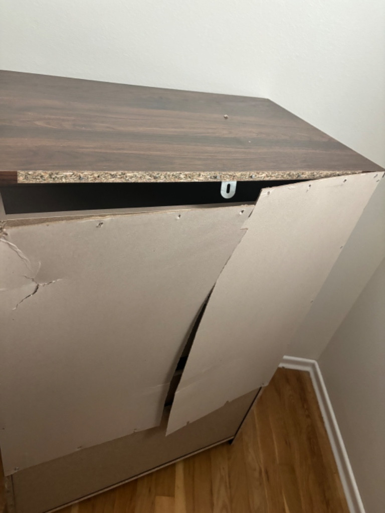 Photo by Ani Buckallew of United American Moving and Storage - Large