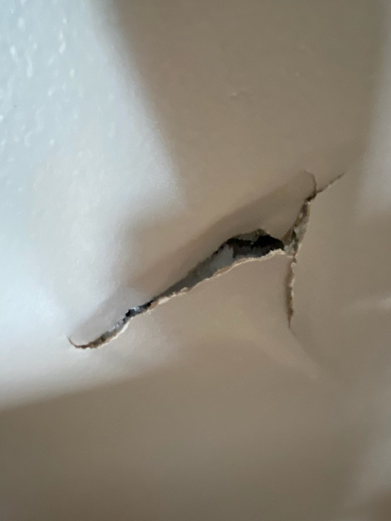 Photo by Connie Chang of Tristate Moving and Storage - Large