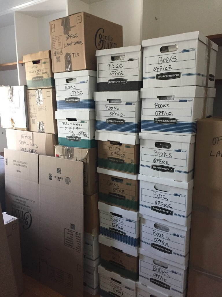 Photo by Janet Browne of Gentle Giant - Large