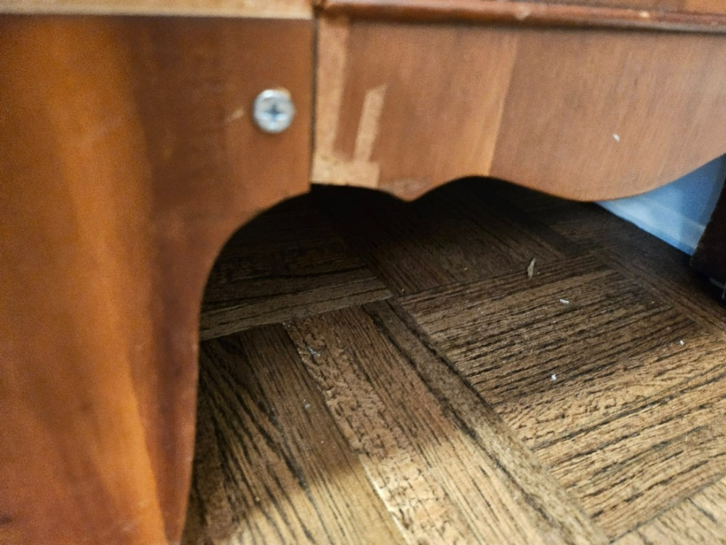 Second photo by Gene Detroyer of Shleppers Moving & Storage - Large