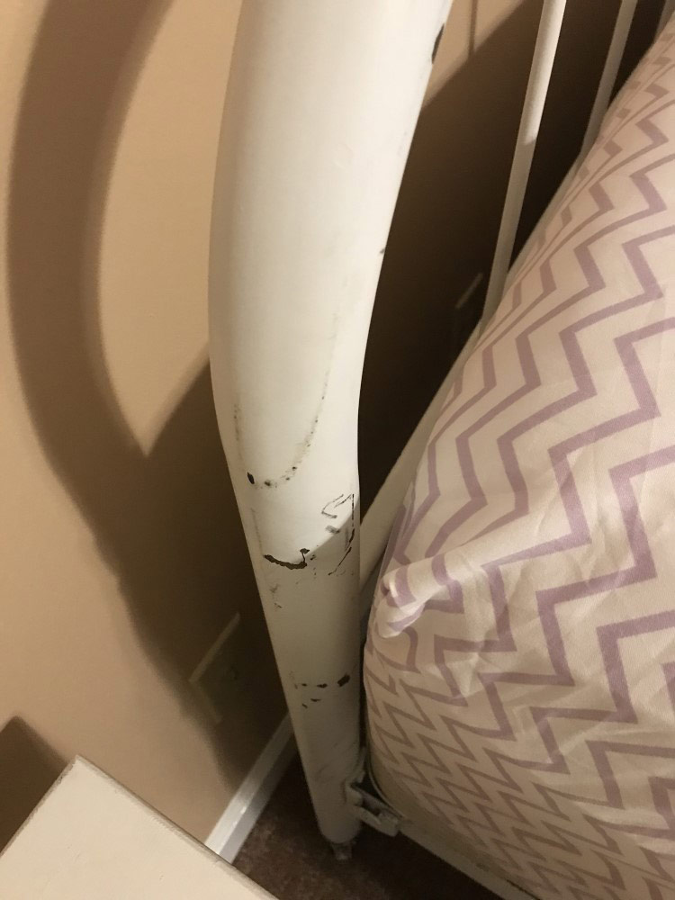 Photo by Amanda of Two Men and a Truck - Large