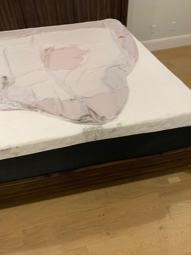 Photo by Zaher Fanari of Cita Van Lines Inc - Large