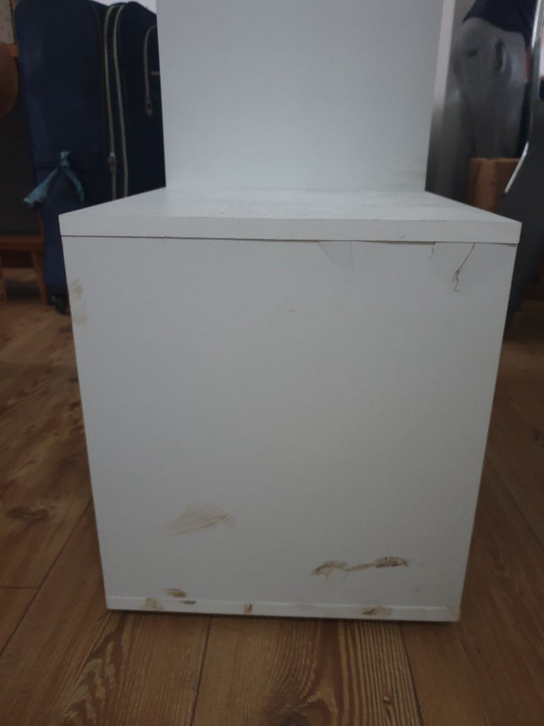 Photo by Leandra Allgeier of Speedy Moves - Large