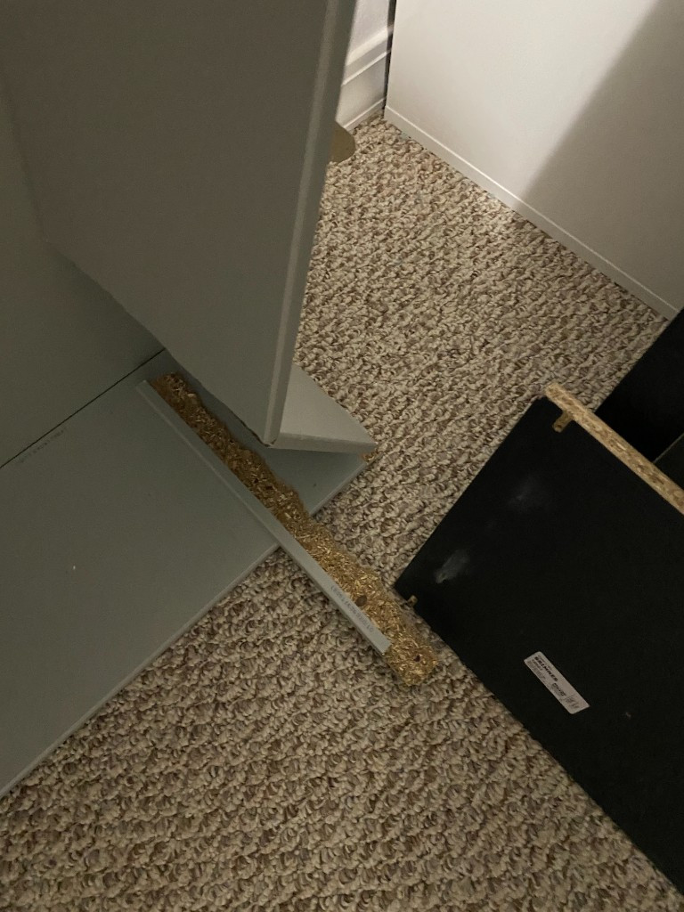 Second photo by Sean Obrien of American Home Relocation - Large