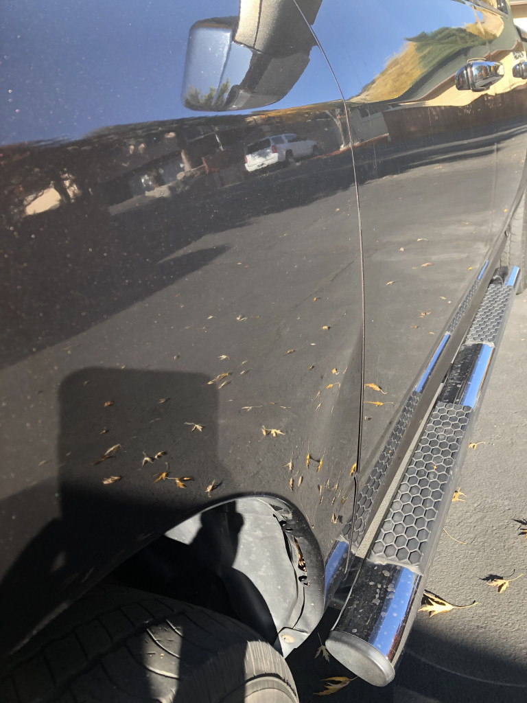 Second photo by Nicole Hardin of Montway Auto Transport - Large