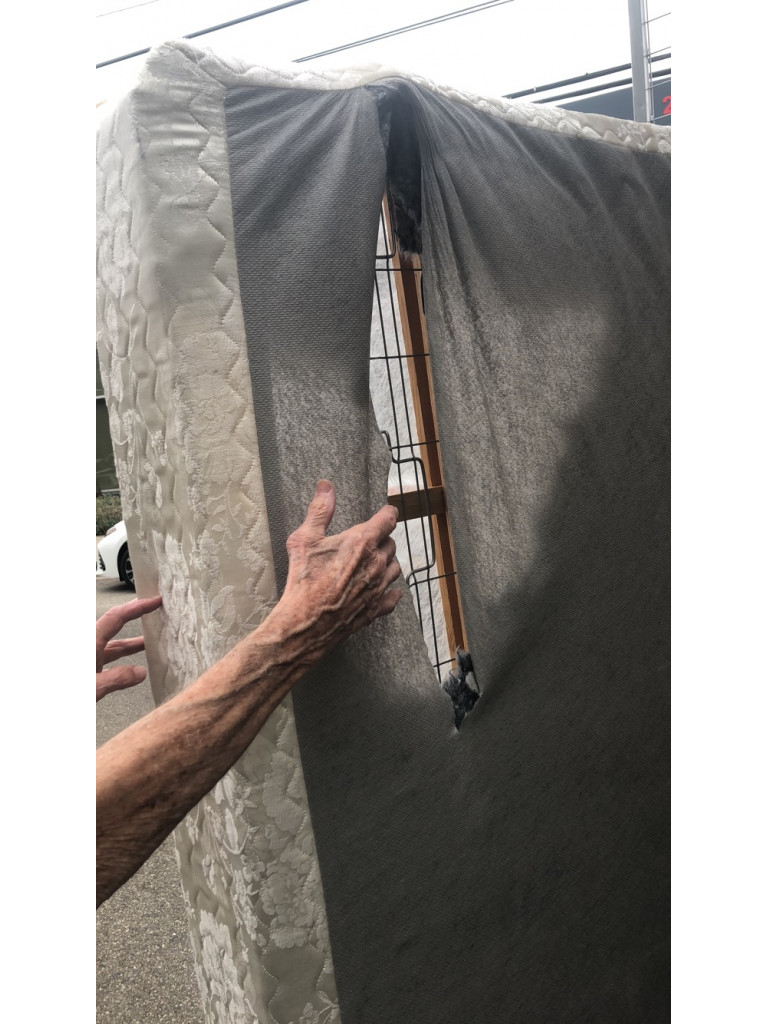 Second photo by Casey Weber of Zippy Shell Incorporated - Large