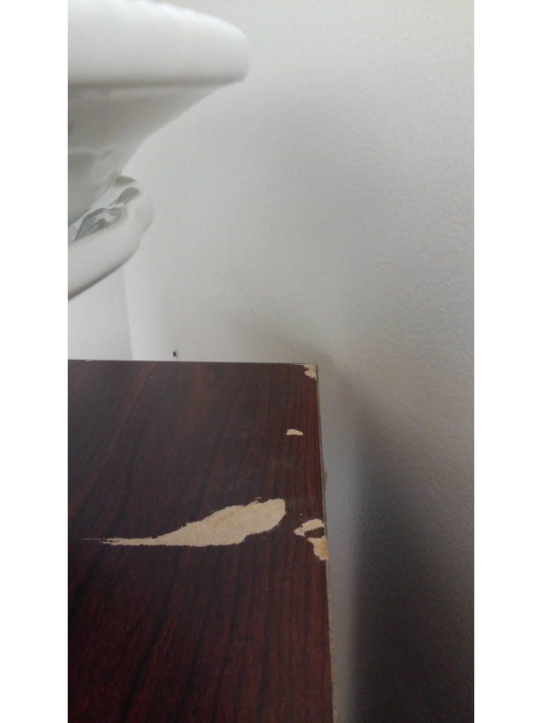 Photo by Amy Dreyer of Atlantic Van Lines - Large